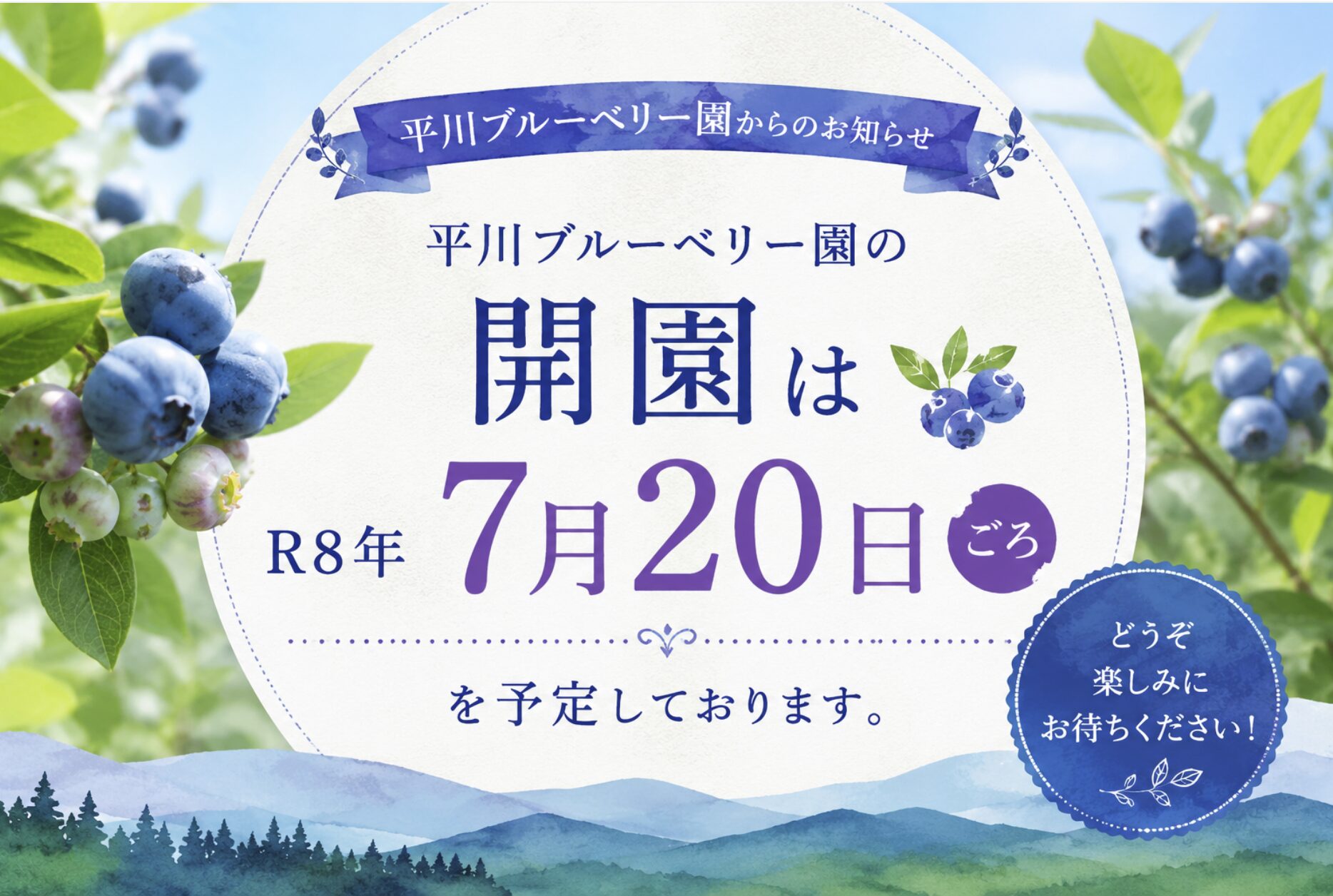 平川ブルーベリー園の開園は7月20日ごろです